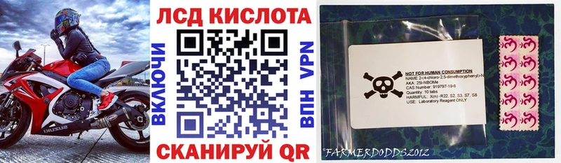 дарнет шоп Багратионовск Марки N-bome 1,5мг